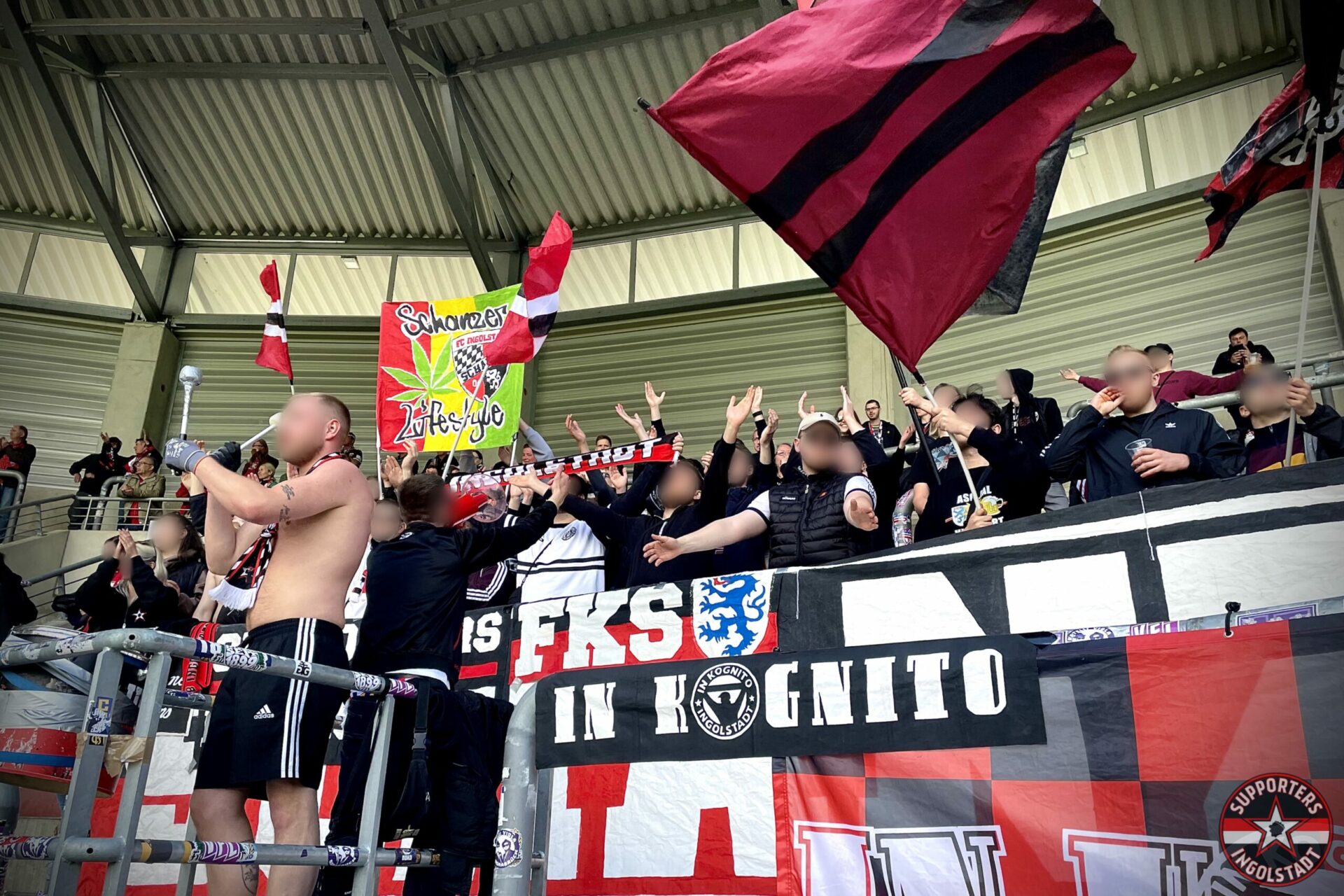 Read more about the article Hallescher FC – FC Ingolstadt (1:0)
