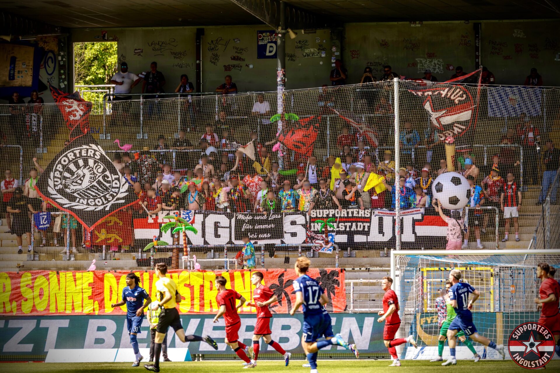 Mehr über den Artikel erfahren TSG Hoffenheim II – FC Ingolstadt (0:3)